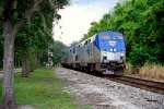 138 - Amtrak Silver Meteor